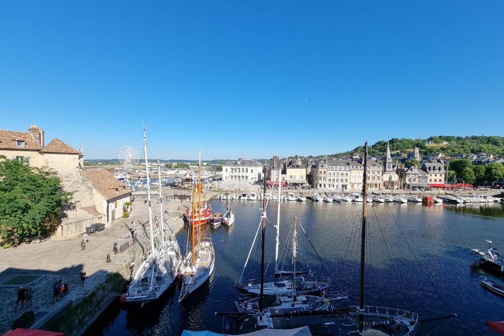 a group of boats are docked in a harbor at Chambres Houdaille in Honfleur