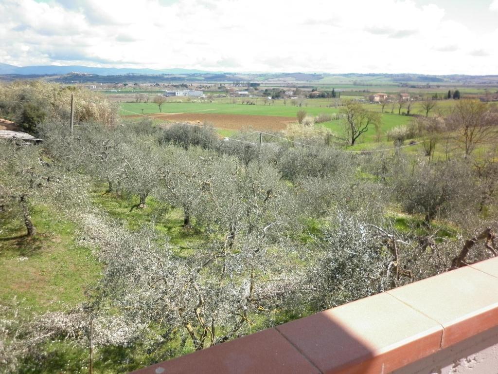 Casa Gli Ulivi - Two-Bedroom House