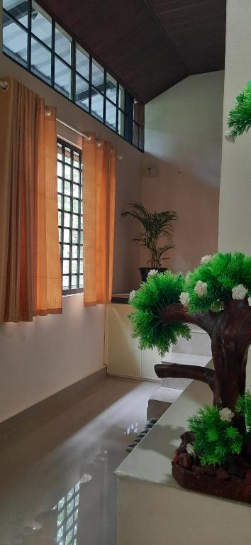 a room with a bonsai tree sitting on a table at NEST Mdy in Mananthavady