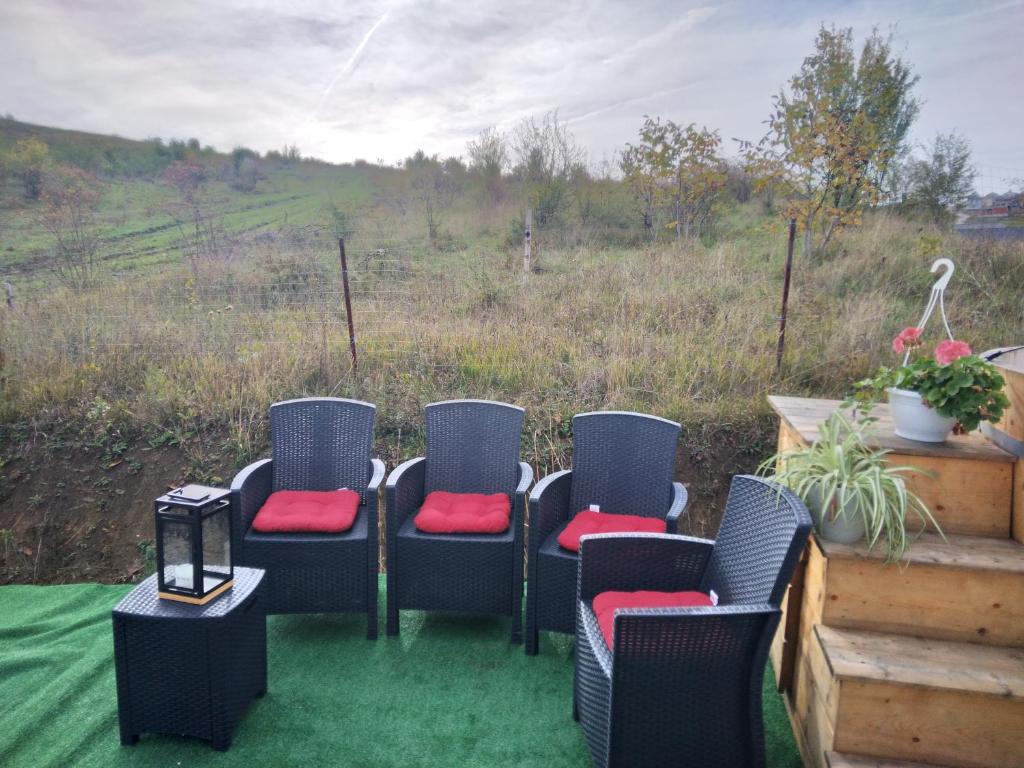 Imagen de la galería de Tiny House Cluj with Jacuzzi, en Sînnicoară
