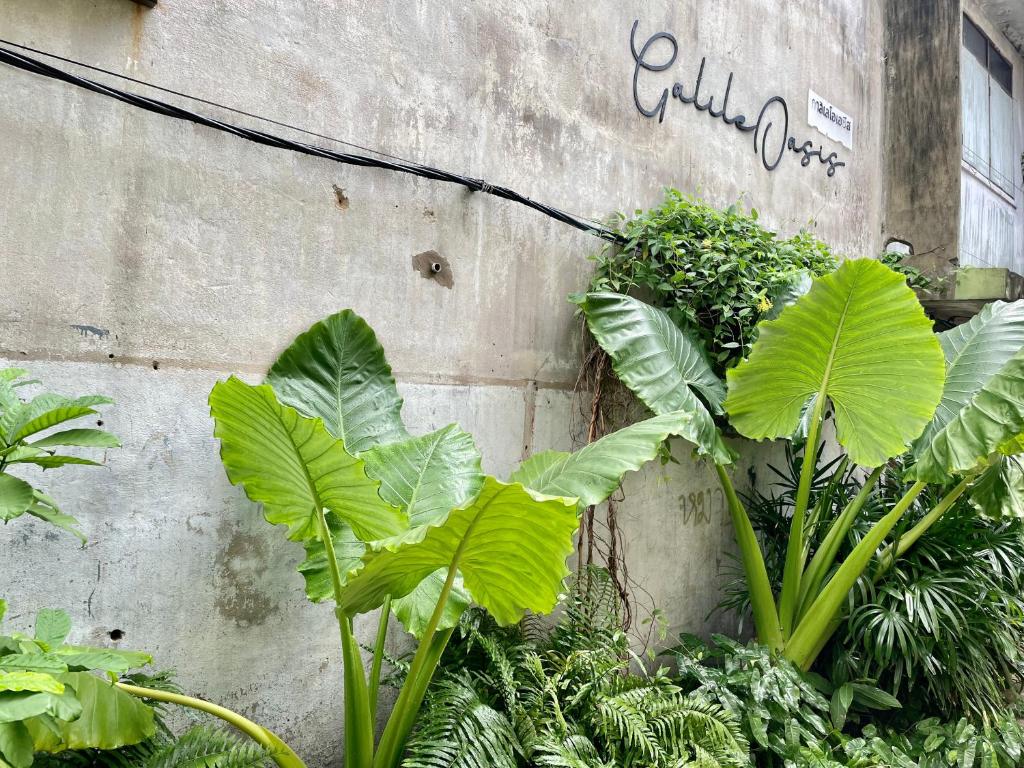 GalileOasis Boutique Hotel - Resim 42