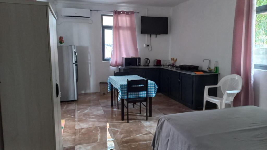 Kuchyň nebo kuchyňský kout v ubytování SeaView Studio - La Gaulette
