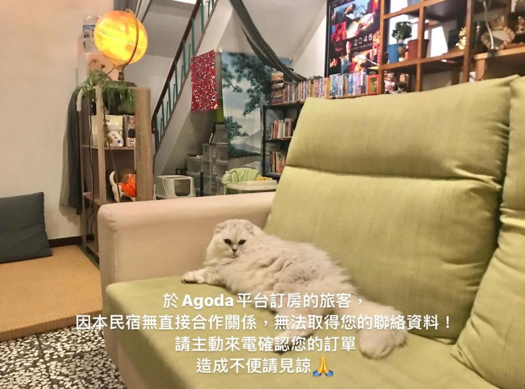 Ein weißer Hund sitzt auf einer Couch in einem Zimmer in der Unterkunft Sun Moment 鬆貓們民宿 in Toucheng