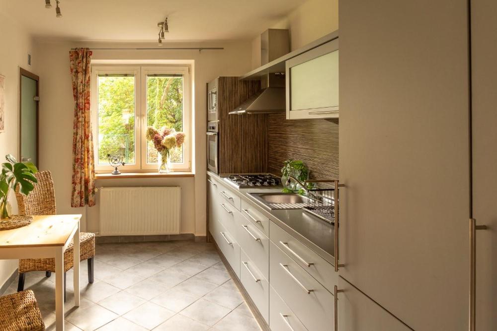 Kuchyň nebo kuchyňský kout v ubytování Apartmán Lukas s KRBEM v centru
