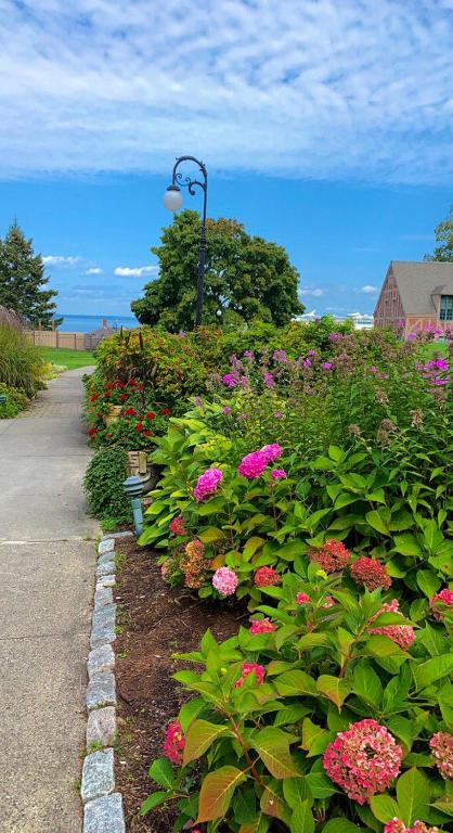 Holiday Inn Bar Harbor Regency Hotel by IHG photo