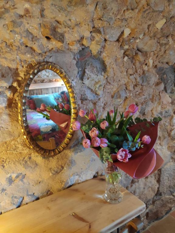 Mas Del Llop Blanc - Dog friendly Hostal Rural - B&B - King Suite