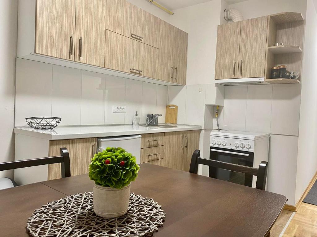 Kuchyň nebo kuchyňský kout v ubytování BellaVista apartman