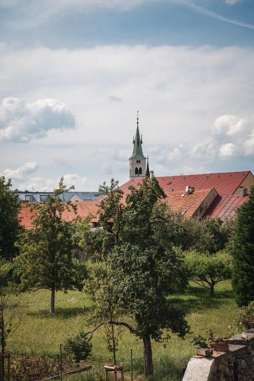 Przyroda w pobliżu tego apartamentu