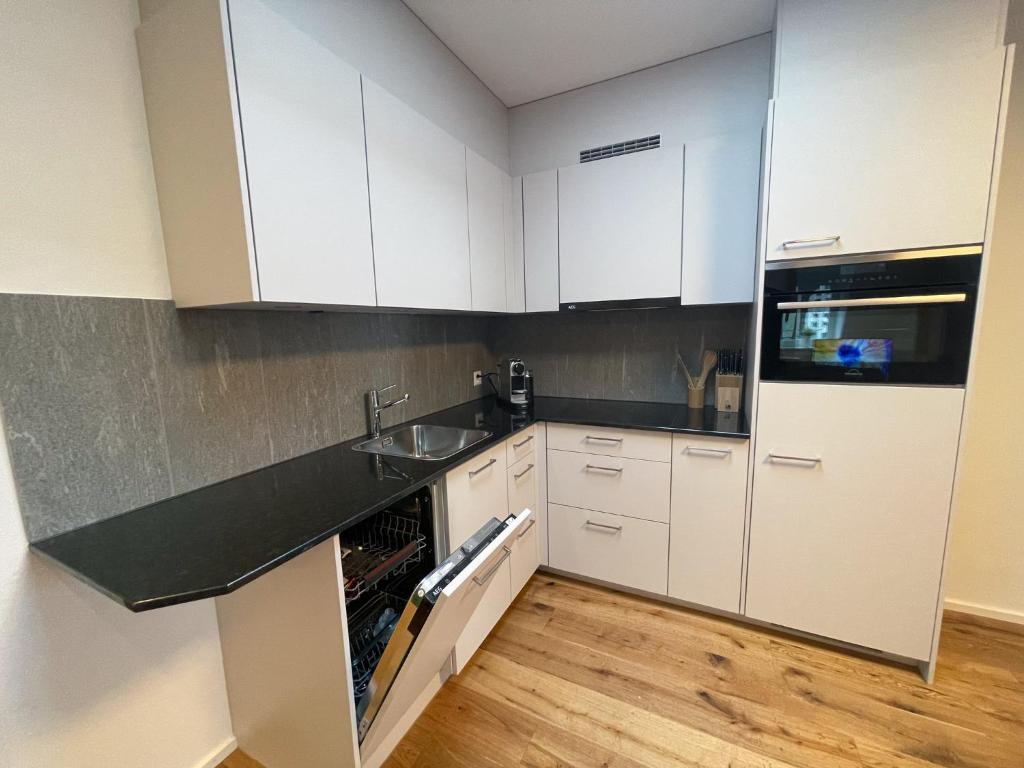 Kuchyň nebo kuchyňský kout v ubytování SCHNYDER'S HOME - Rosenappartement