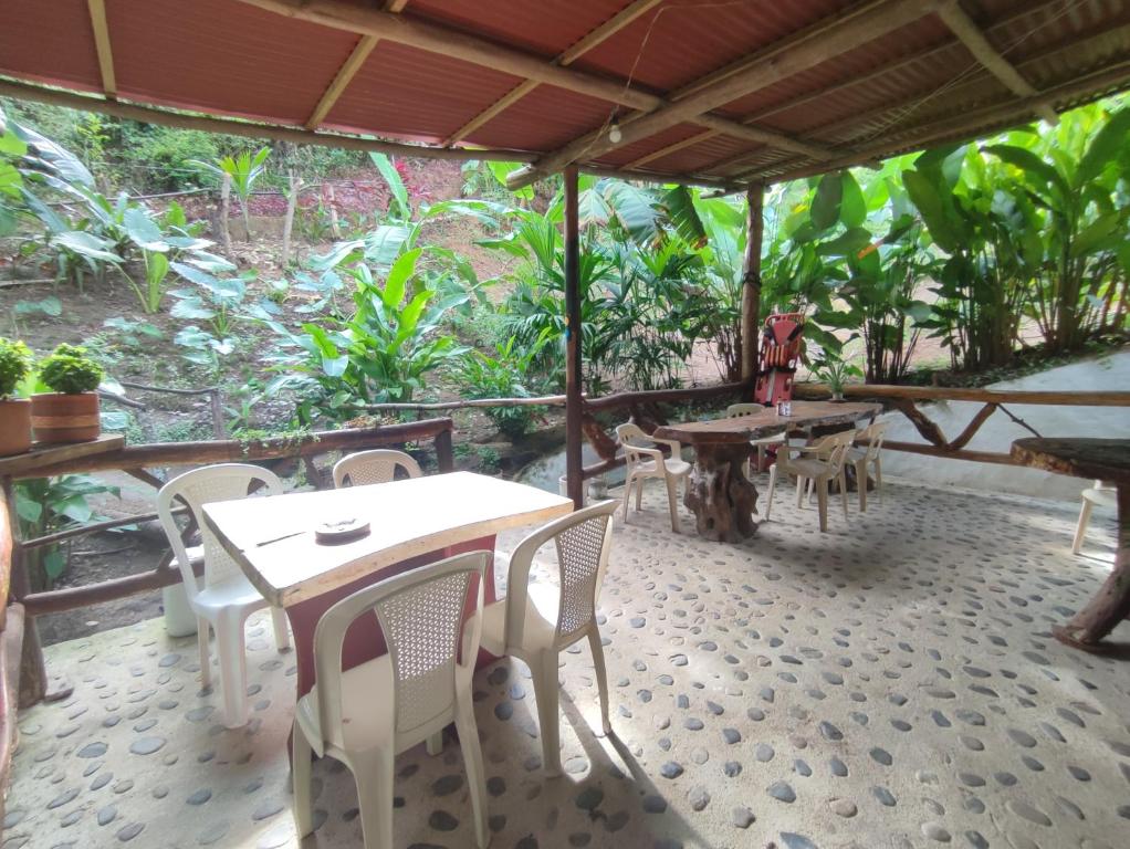 um pátio exterior com mesas, cadeiras e árvores em Mirador Dentro del Parque Tayrona em El Zaino