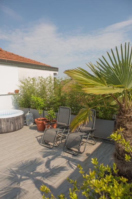two chairs and a palm tree on a patio at terrazza privata e jacuzzi vicino a Milano in Zelo Buon Persico