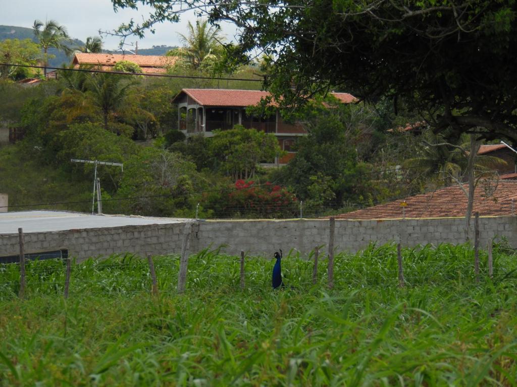  Flat 404 Villa Hipica
