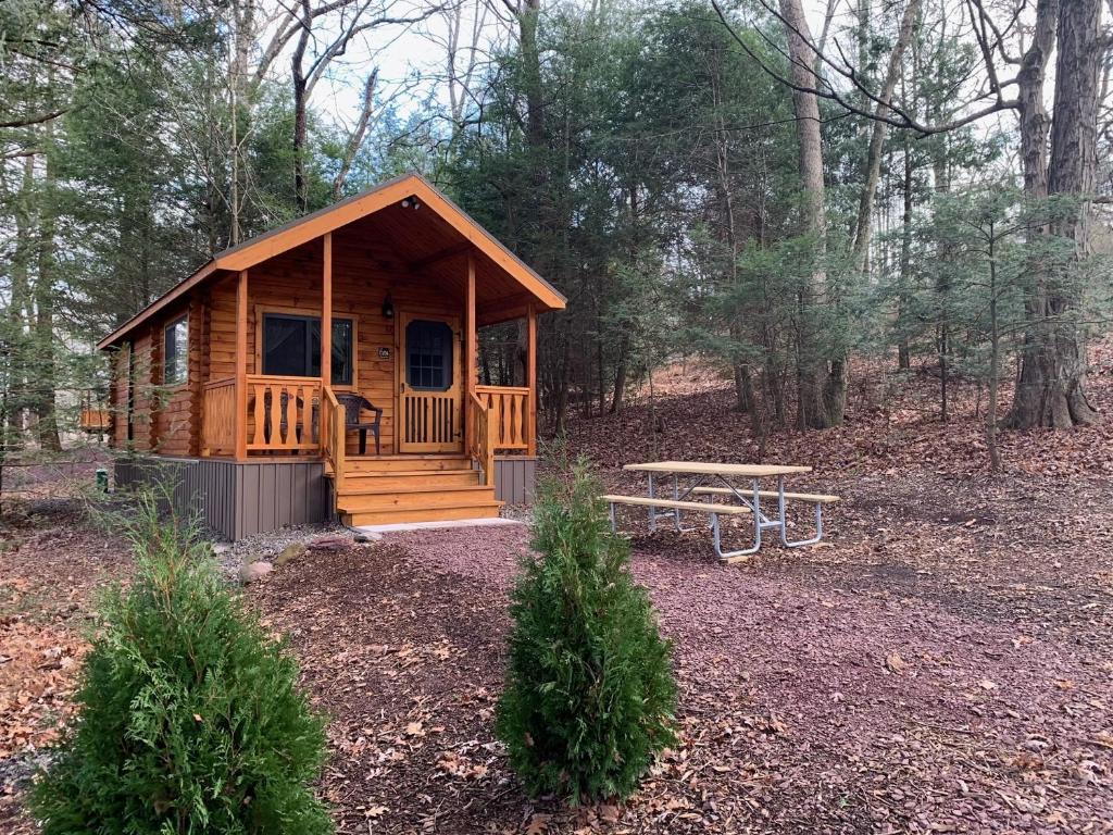 a wooden cabin with a picnic table in the woods at Lakewood Park Campground - Luxury Cabin in Barnesville