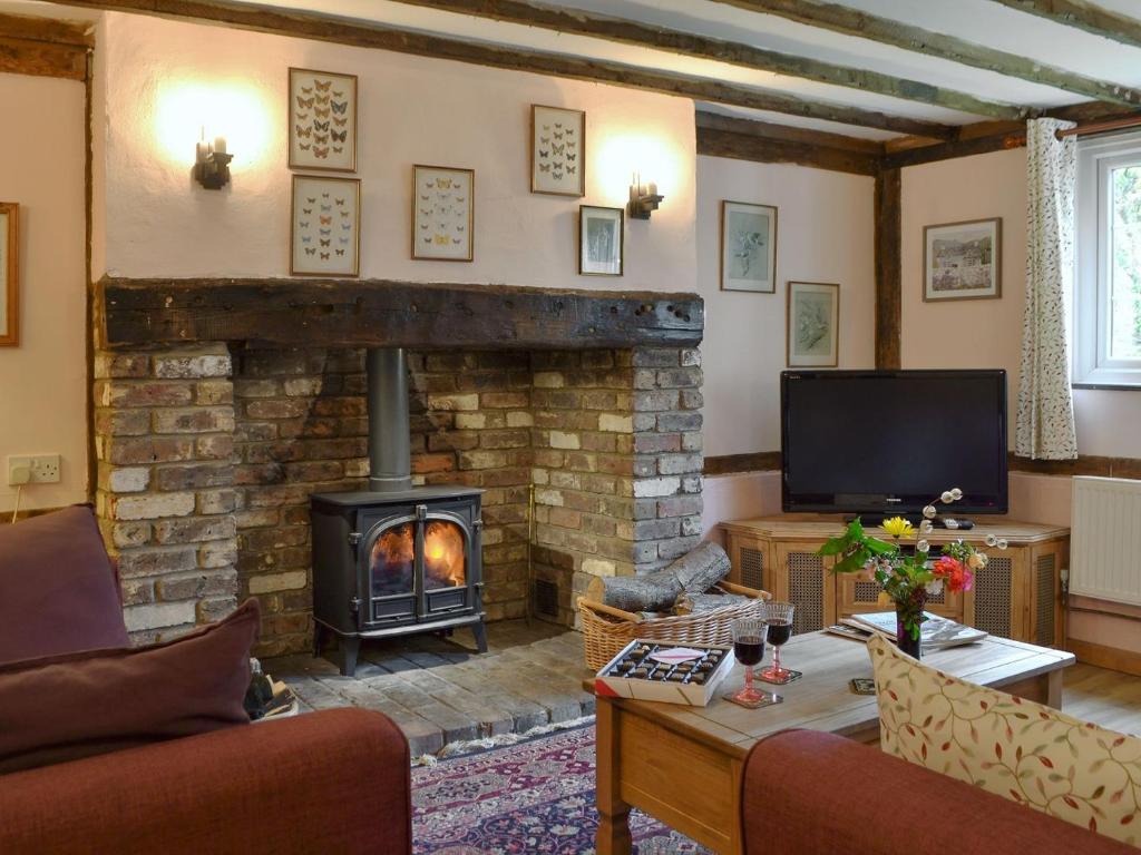 a living room with a fireplace and a television at Henley Bridge Holiday Cottage in Ashburnham