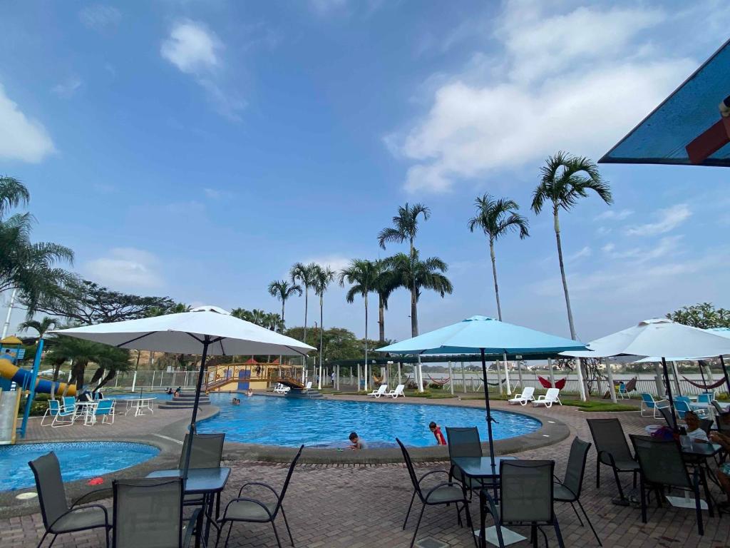 una piscina con sillas, sombrillas y palmeras en Dormitorios Familiares para Disfrutar Final de Copa Libertadores, en Guayaquil