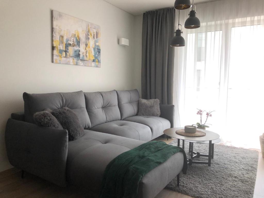 uma sala de estar com um sofá cinzento e uma mesa em Cosy 1 bedroom apartment in the heart of old town with parking em Kaunas