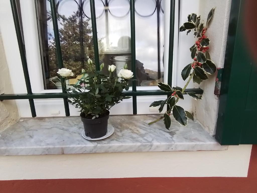 Fotografie z fotogalerie ubytování ANITA B&B v destinaci Uscio