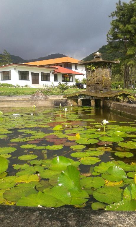 Paisaje cerca de este hotel