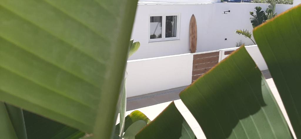a view of a house from behind some green leaves at Sea'Ya Thoughtful Stays - Villas in Cascais