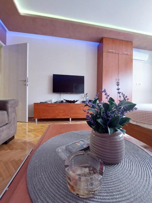 Cuca Apartments - One-Bedroom Apartment