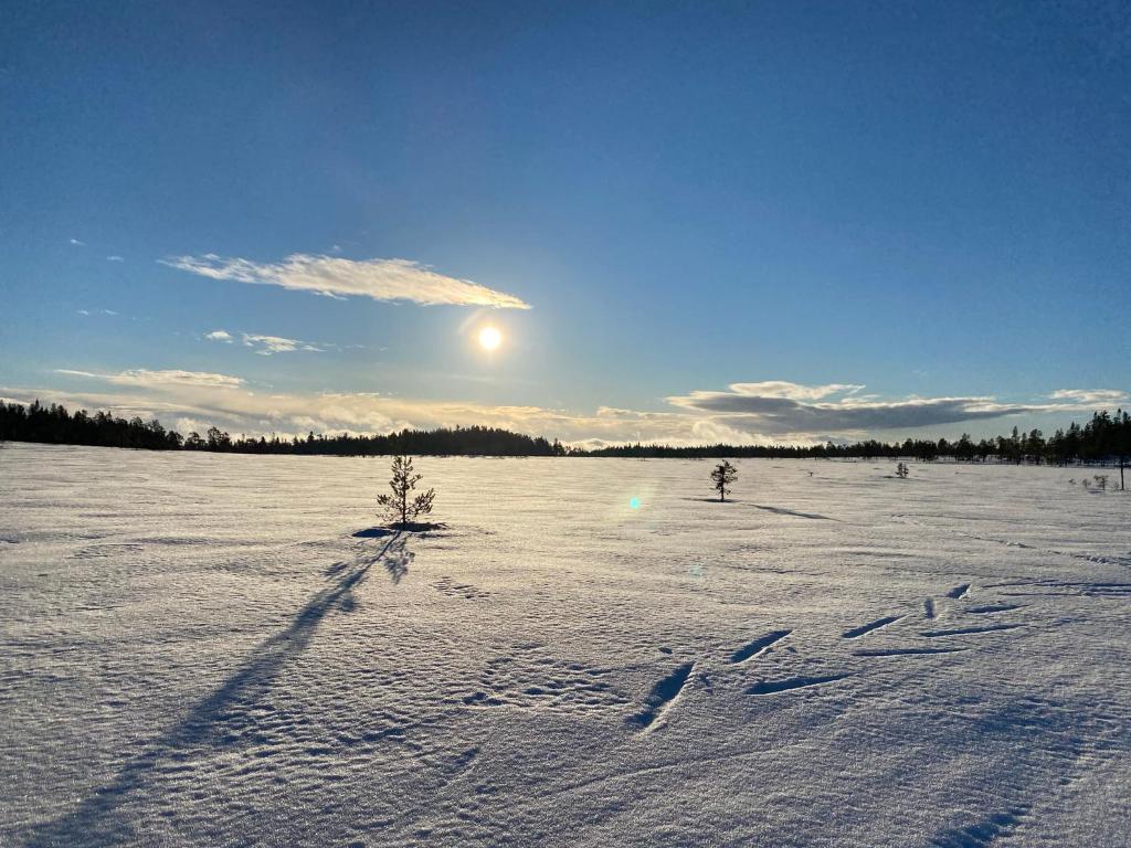 Mysig lägenhet i Prästgård nära Branäs зимой