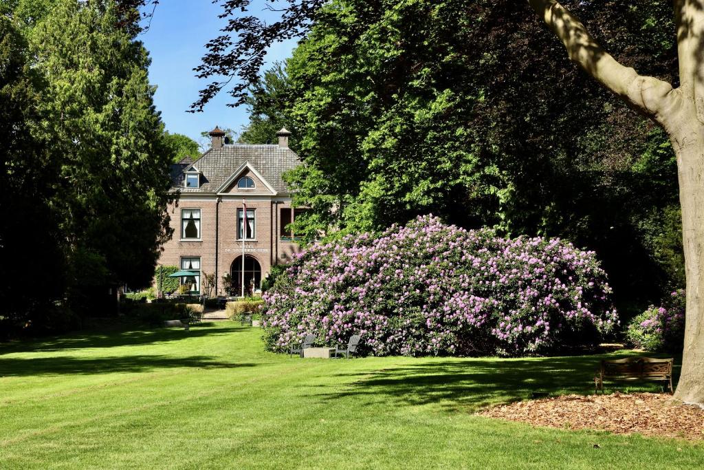 een oud huis met een grote roze struik ervoor bij de Lochemse Berg in Barchem