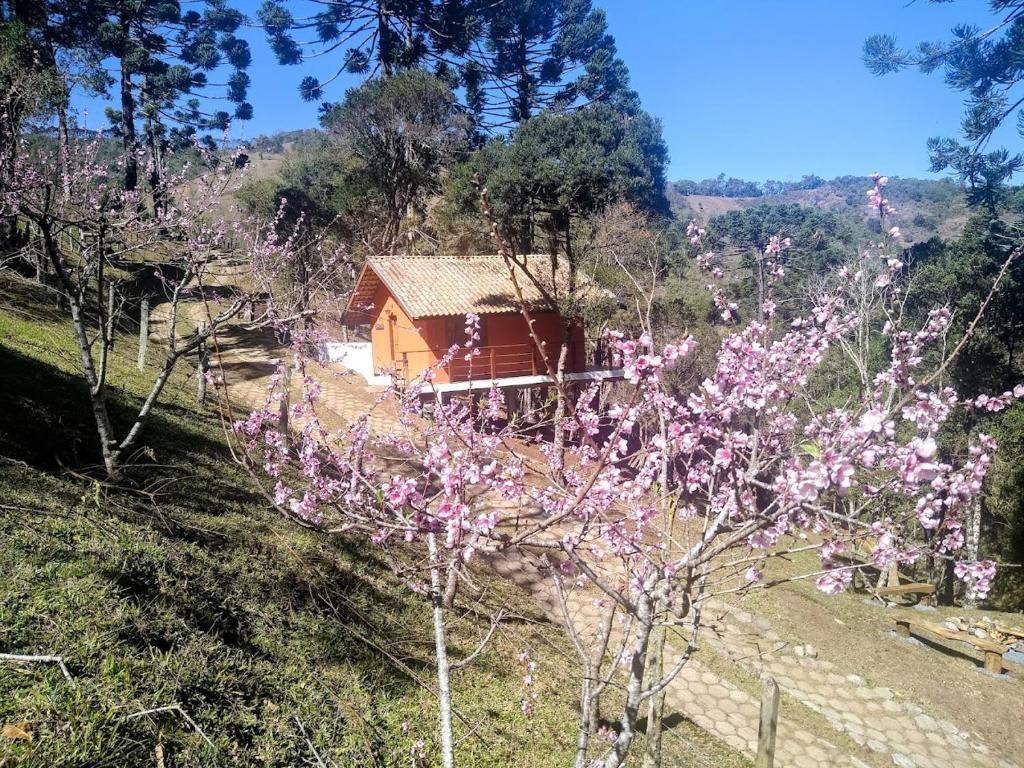 a small house on a hill with a tree at Chalé da Mata in Sapucaí-Mirim