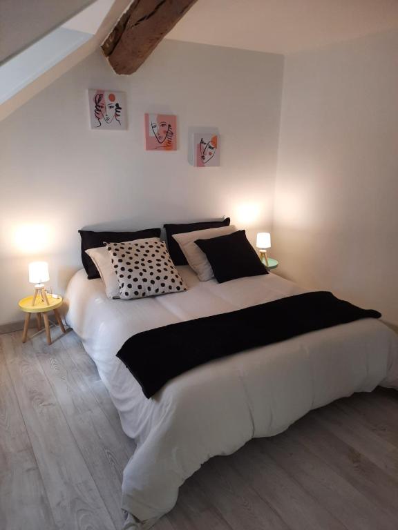 een slaapkamer met een groot bed met zwart-witte kussens bij BIANCU NERU in Châteauroux