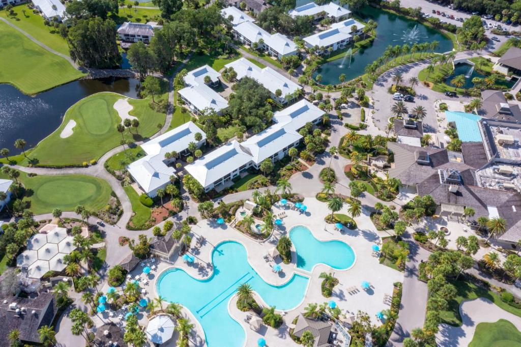 Saddlebrook Golf Resort & Spa Tampa North-Wesley Chapel في ويسلي شابل: اطلالة جوية على المسبح في المنتجع