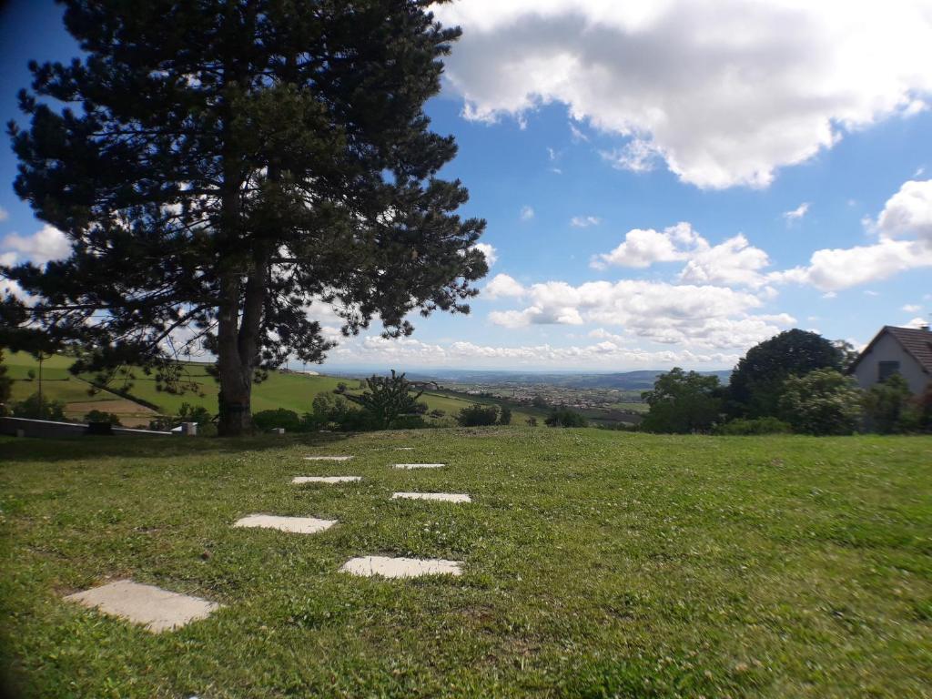 a field withestones in the grass with a tree at 170 m² entre Lyon et St Etienne in Saint-Martin-la-Plaine