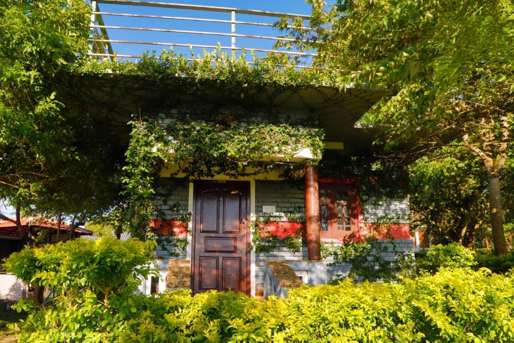 Zahrada ubytování Chalets Resort Masinagudi