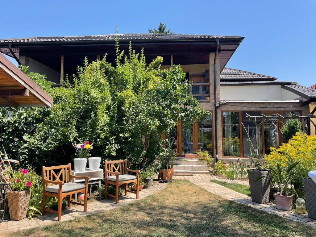 una casa con un jardín con sillas y plantas en Story House 2 en Bragadiru