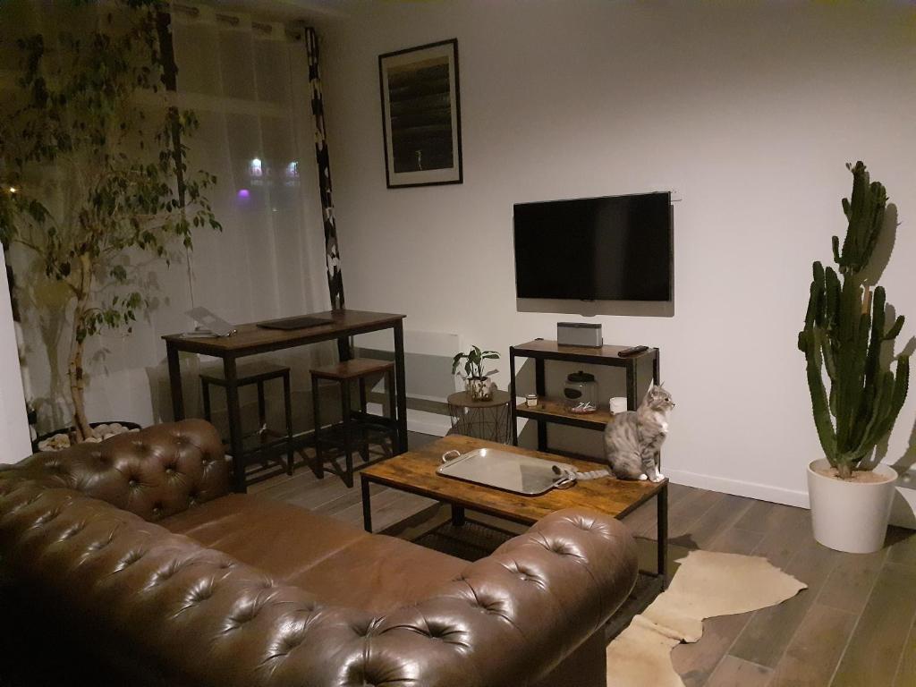 uma sala de estar com um sofá de couro castanho e uma mesa em Le cocon em Dijon