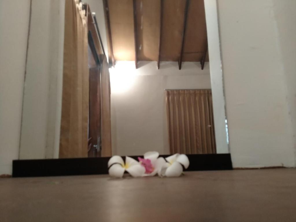 dos animales de peluche sentados en el suelo en una habitación en Sari Laut, en Gili Meno