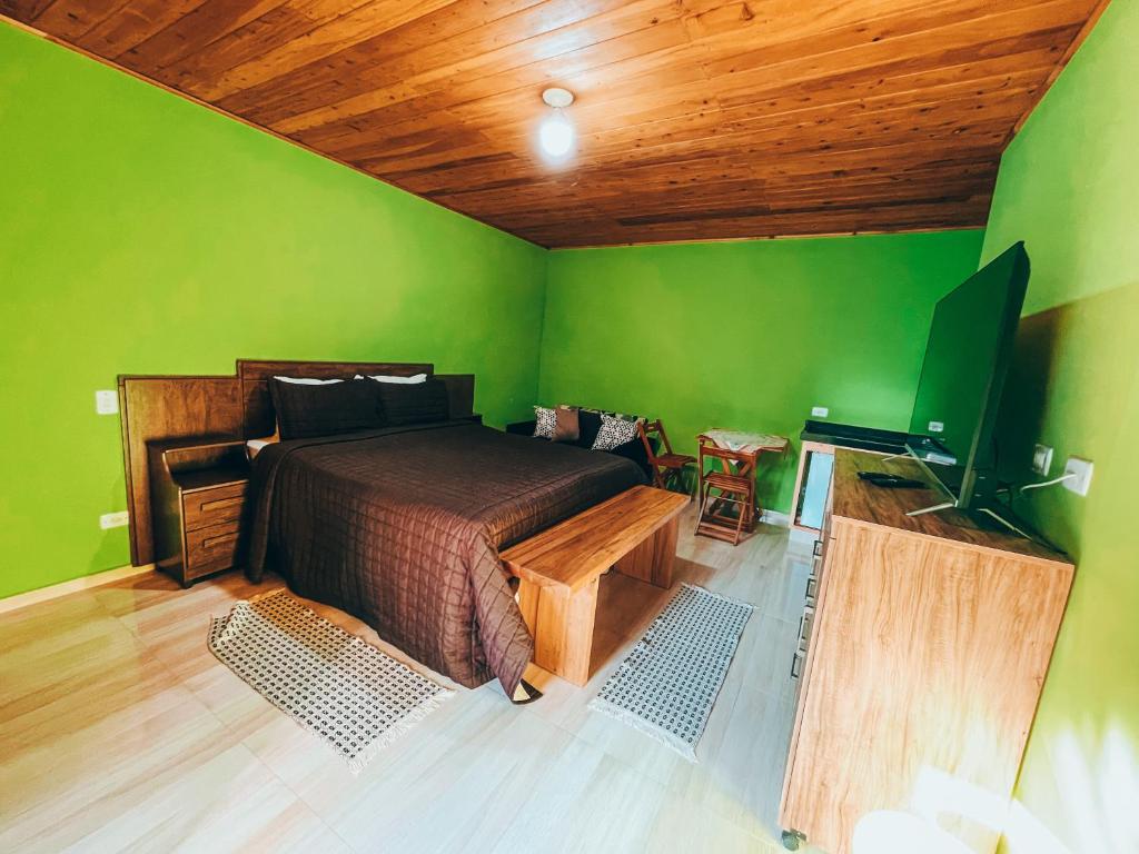 a bedroom with green walls and a bed and a television at Recanto do Loriano in Monte Verde