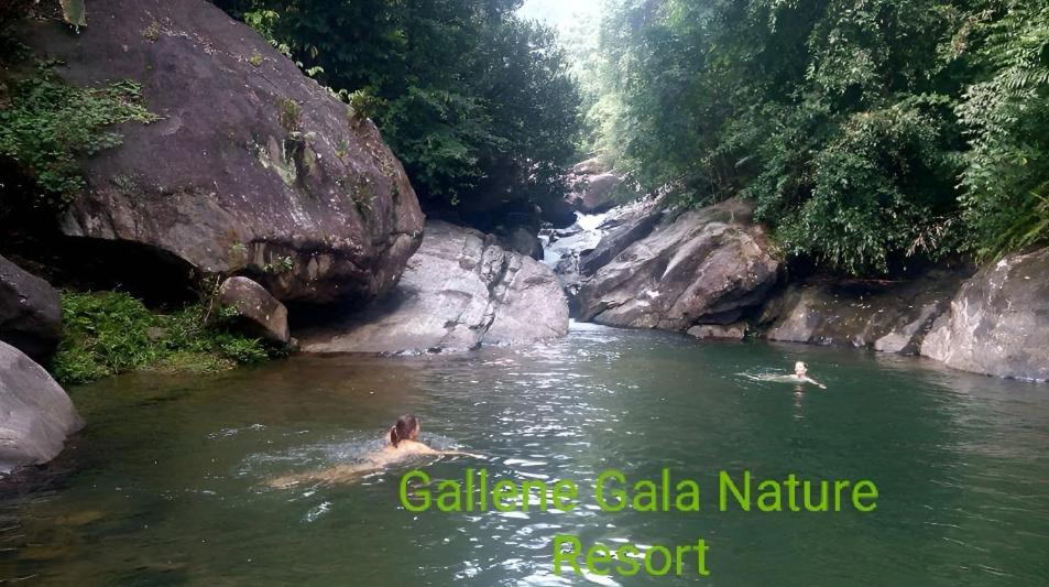 twee mensen zwemmen in een rivier met een waterval bij Gallene Gala Nature Resort in Kitulgala