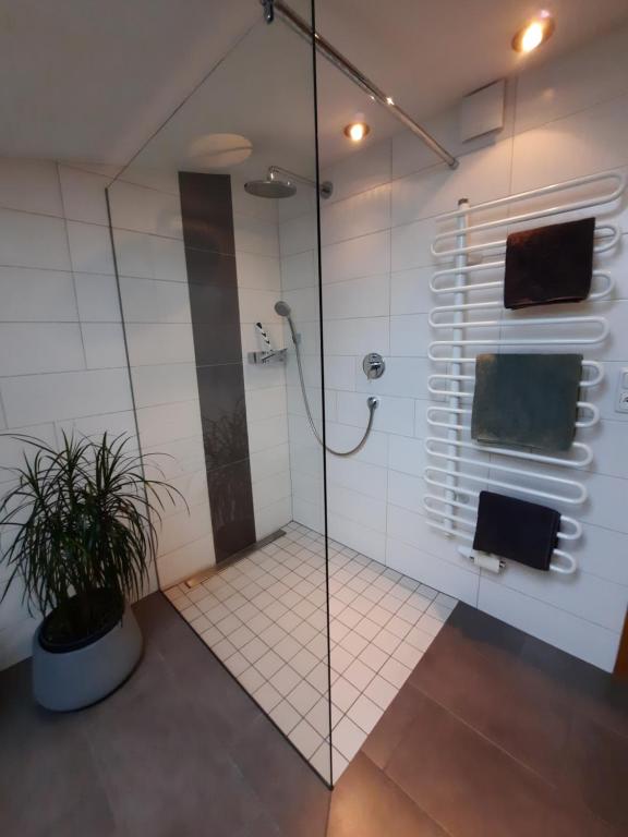 Koupelna v ubytování Appartements Anfang