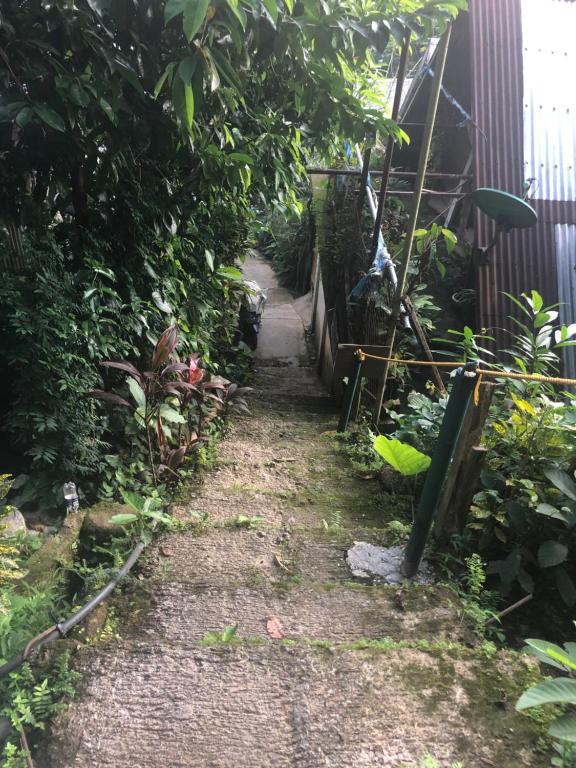 Zahrada ubytování BaleCabugaoCottagesRental