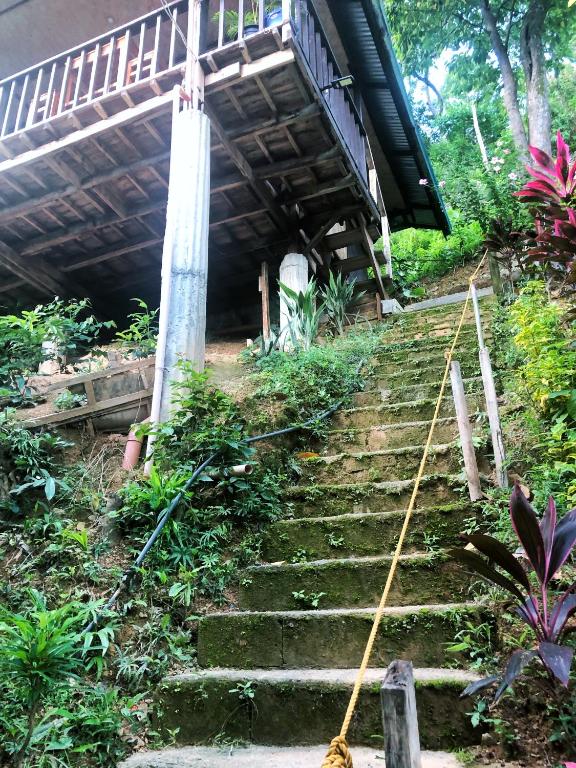 Zahrada ubytování BaleCabugaoCottagesRental