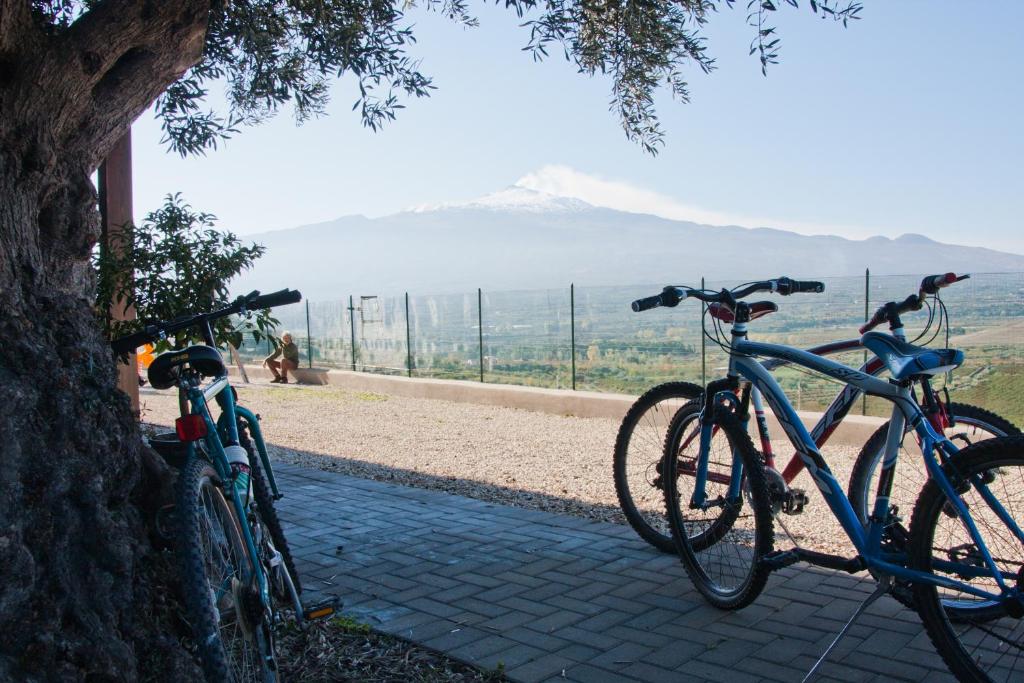Agriturismo Valle dell'Etna