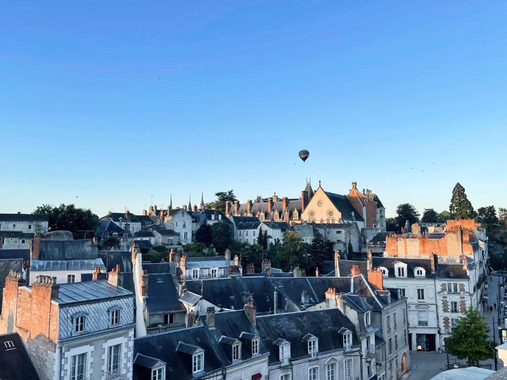 balon leciący nad miastem w obiekcie Le Nid de Saint Honoré - sur les toits de Blois w mieście Blois
