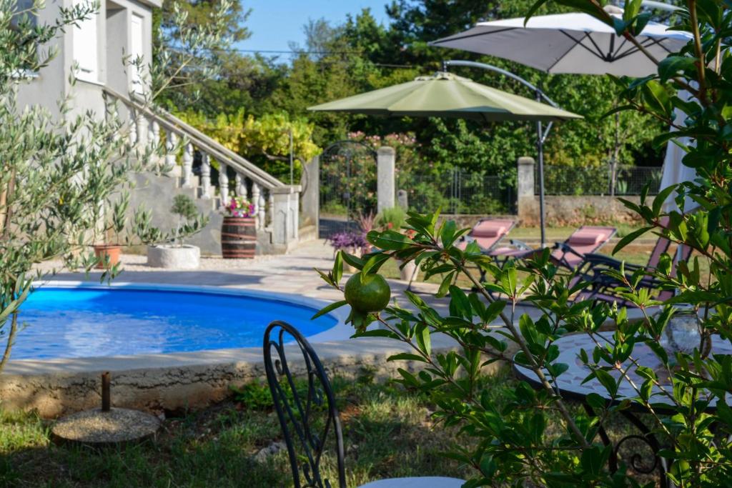 a swimming pool in a yard with an umbrella at Apartment Villa Oliva in Gostinjac