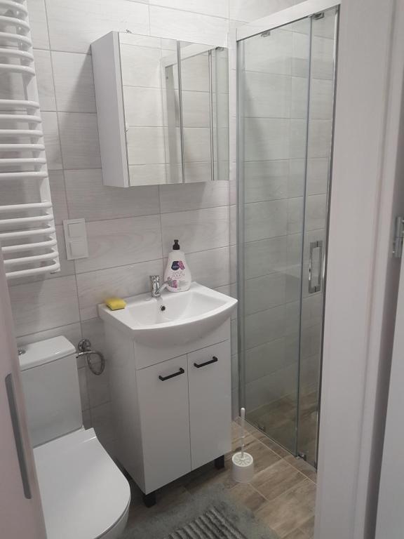 een badkamer met een toilet, een wastafel en een douche bij Staś-przy szkole nr3 w Skawie in Skawa