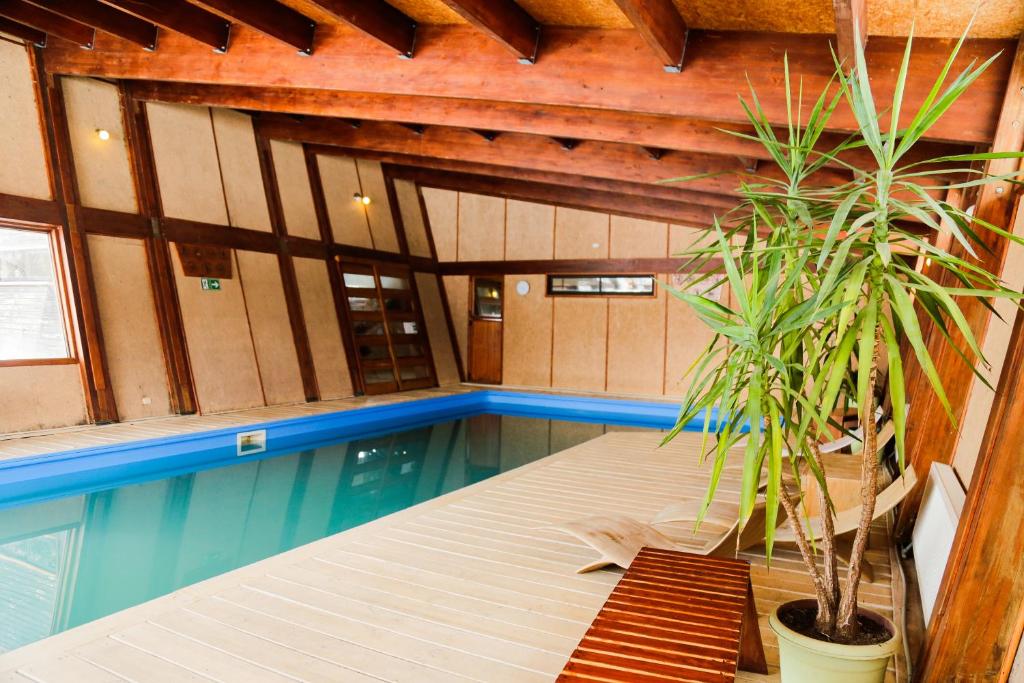 Piscina di MI Lodge Las Trancas Hotel & Spa o nelle vicinanze