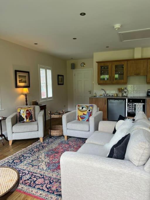 Adorable one bedroom apartment with balcony - One-Bedroom Apartment