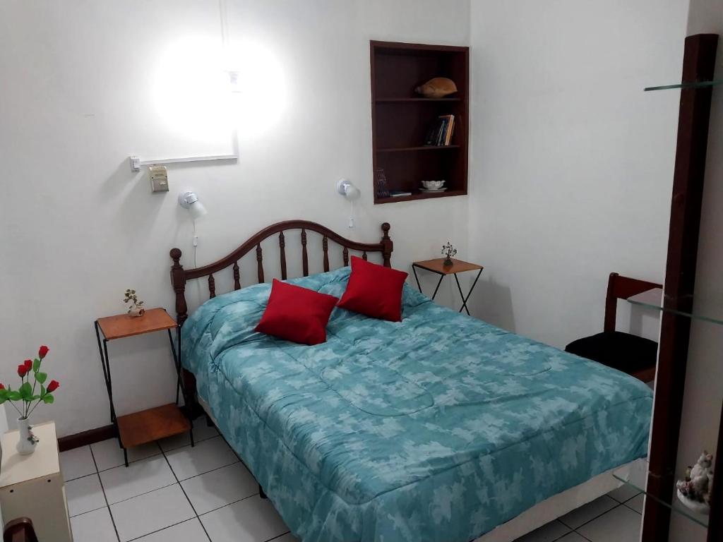 a bedroom with a bed with two red pillows at Departamento Ciudad Mendoza in La Cieneguita