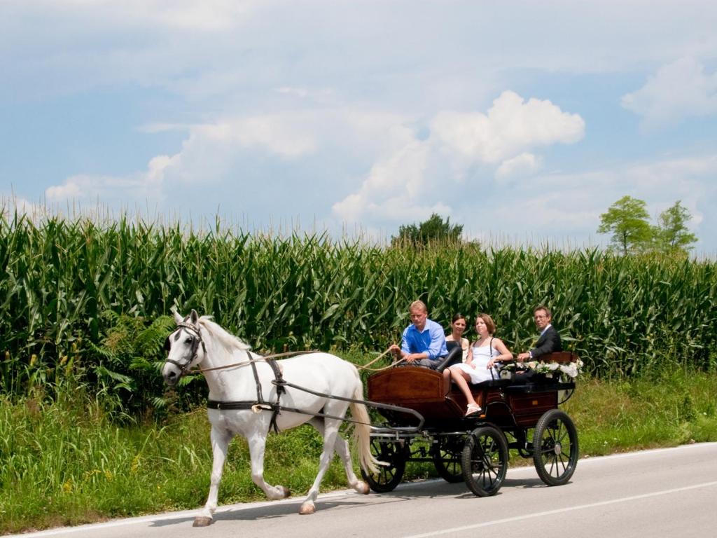 Hosté ubytování Lataria dei Magredi