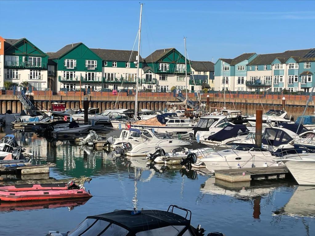 a bunch of boats docked in a marina with houses at Seaview Apartment with parking in Exmouth