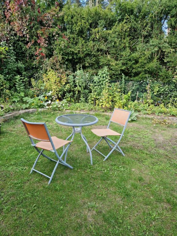 two chairs and a table in the grass at Ferienwohnung im Grünen in Berlin