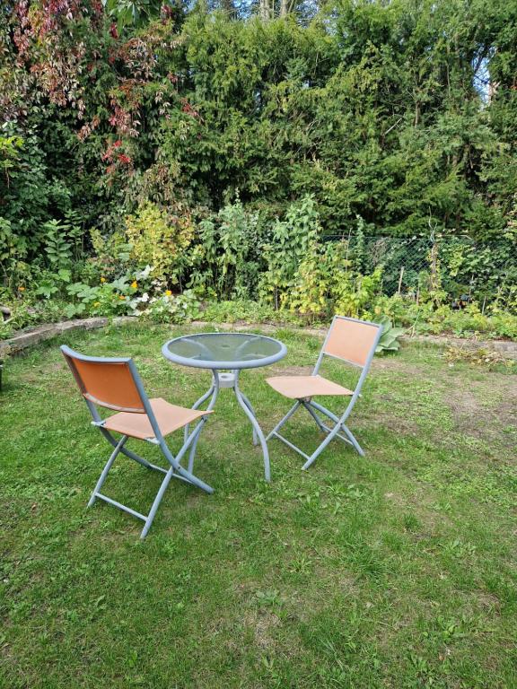 2 chaises et une table dans l'herbe dans l'établissement Ferienwohnung im Grünen, à Berlin